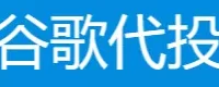 谷歌代投